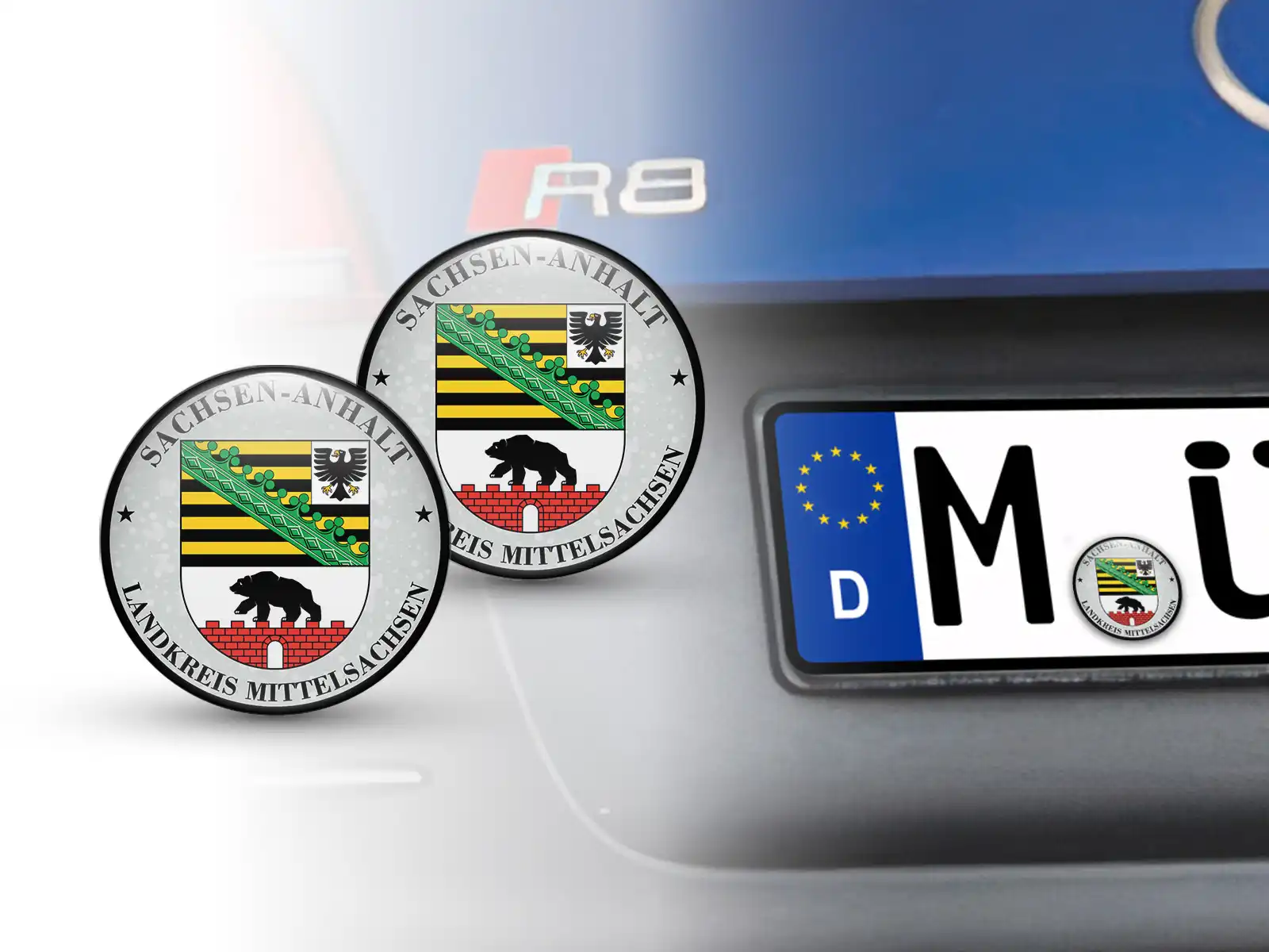 Aufkleber TUV Landkreis Mittelsachsen Nummernschild plakette